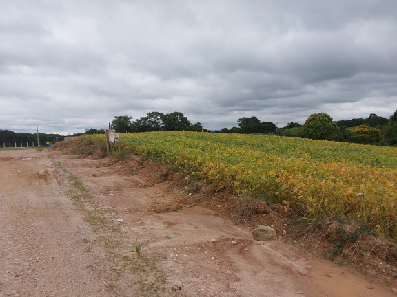 Imóvel à Venda, 24.200 m² em Centro - Araucária