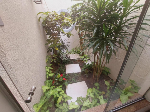 Imagem Casa com 3 Quartos à Venda, 205 m² em Vila São Pedro - Santo André