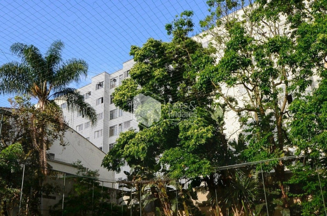 Imagem Apartamento com 4 Quartos à Venda, 91 m² em Vila Mariana - São Paulo Imagem Apartamento com 4 Quartos à Venda, 91 m² em Vila Mariana - São Paulo