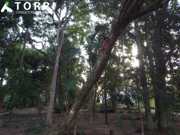 Imagem Imóvel com 5 Quartos à Venda, 400 m² em Aparecida - Araçoiaba Da Serra Imagem Imóvel com 5 Quartos à Venda, 400 m² em Aparecida - Araçoiaba Da Serra