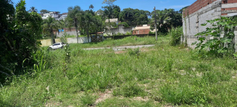Terreno à Venda, 297 m² em Massaguaçu - Caraguatatuba