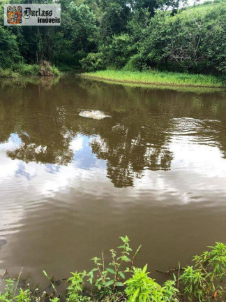 Imagem Fazenda à Venda, 2.178.000 m² em Jambeiro
