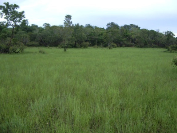 Imagem Imóvel à Venda,  em Região Do Araguaia Xingu - São Félix Do Araguaia
