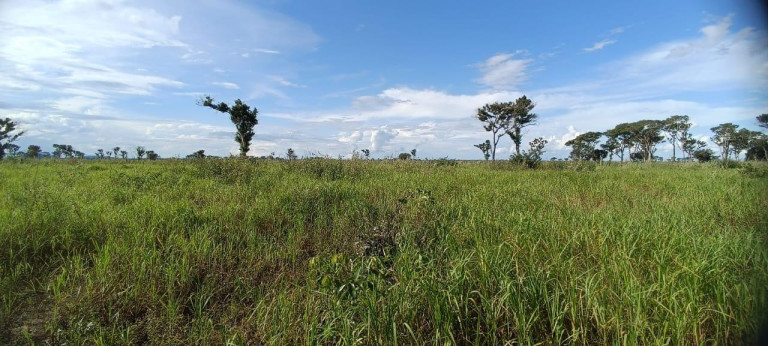 Imagem Fazenda à Venda, 1.200 m² em Rural - Corumbá Imagem Fazenda à Venda, 1.200 m² em Rural - Corumbá