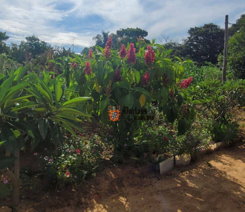 Imagem Fazenda à Venda, 44.500 m² em Monte Mor - Monte Mor Imagem Fazenda à Venda, 44.500 m² em Monte Mor - Monte Mor