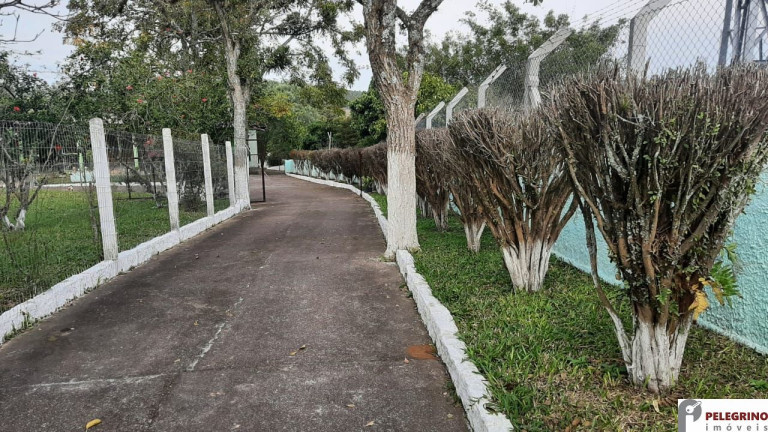 Imagem Casa com 2 Quartos à Venda, 301 m² em Zona Rural - Sentinela Do Sul Imagem Casa com 2 Quartos à Venda, 301 m² em Zona Rural - Sentinela Do Sul