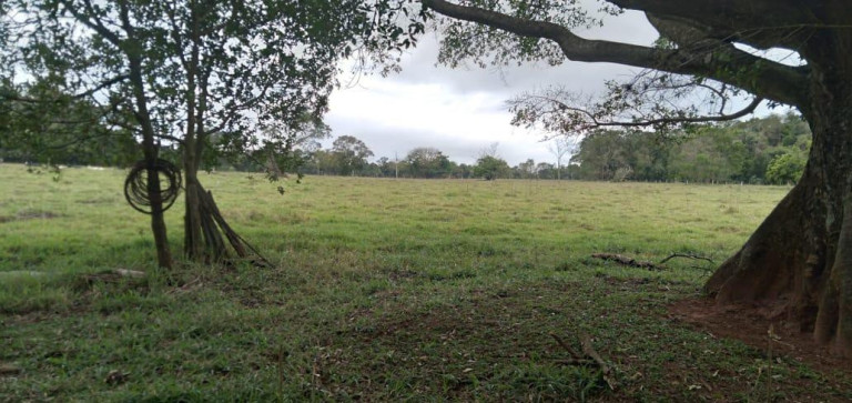 Imagem Chácara à Venda, 9 m² em Area Rural De Avaré - Avaré