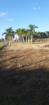 Imagem Imóvel à Venda, 2.300 m² em Gleba Fazenda Palhano - Londrina Imagem Imóvel à Venda, 2.300 m² em Gleba Fazenda Palhano - Londrina