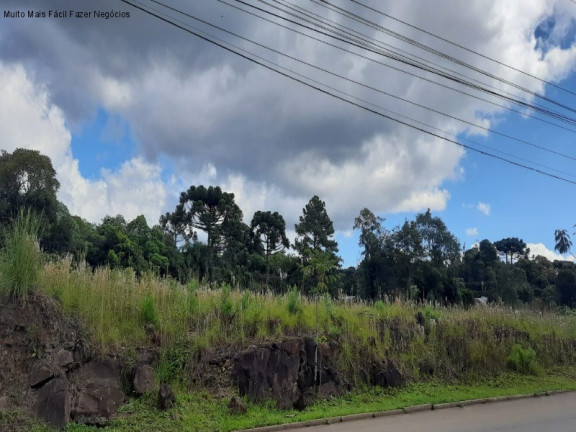 Imagem Terreno à Venda, 12.438 m² em Germânia - Nova Petrópolis Imagem Terreno à Venda, 12.438 m² em Germânia - Nova Petrópolis