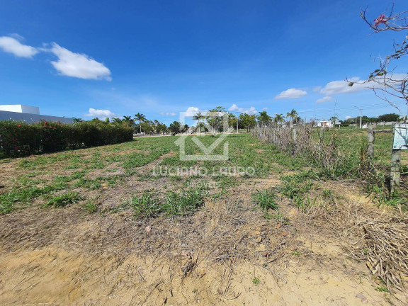 Imagem Terreno à Venda, 500 m² em Barris - Vitória Da Conquista Imagem Terreno à Venda, 500 m² em Barris - Vitória Da Conquista