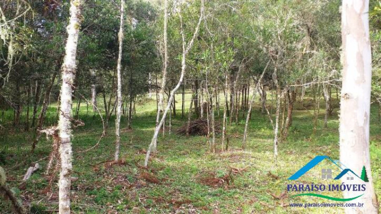 Imagem Terreno à Venda, 10.794 m² em Centro - Gonçalves Imagem Terreno à Venda, 10.794 m² em Centro - Gonçalves