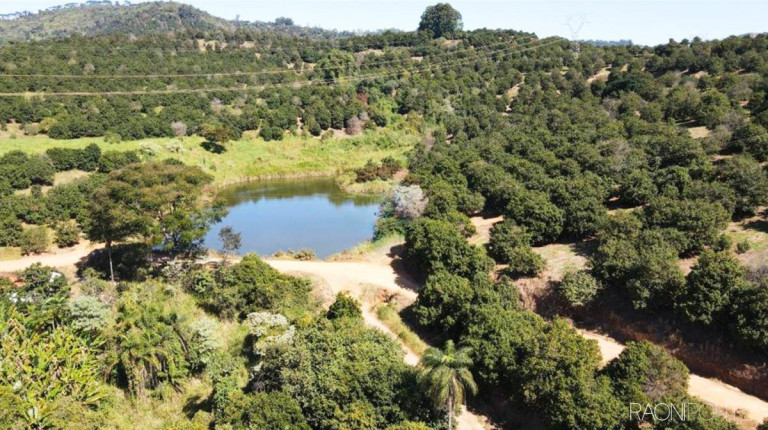 Imagem Fazenda à Venda, 6.220.000 m² em Zona Rural - São Sebastião Da Grama Imagem Fazenda à Venda, 6.220.000 m² em Zona Rural - São Sebastião Da Grama