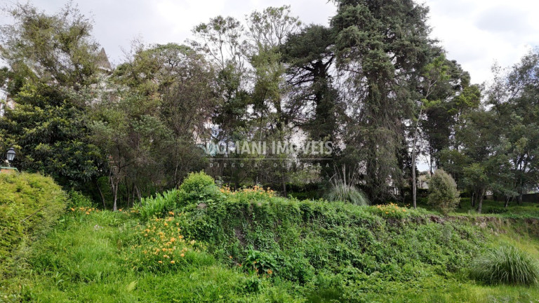 Imagem Terreno à Venda, 2.540 m² em Região De Capivari - Campos Do Jordão Imagem Terreno à Venda, 2.540 m² em Região De Capivari - Campos Do Jordão