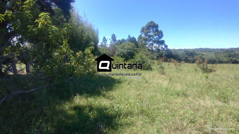 Imagem Imóvel com 2 Quartos à Venda, 50.000 m² em Capela Da Buena - Morro Redondo
