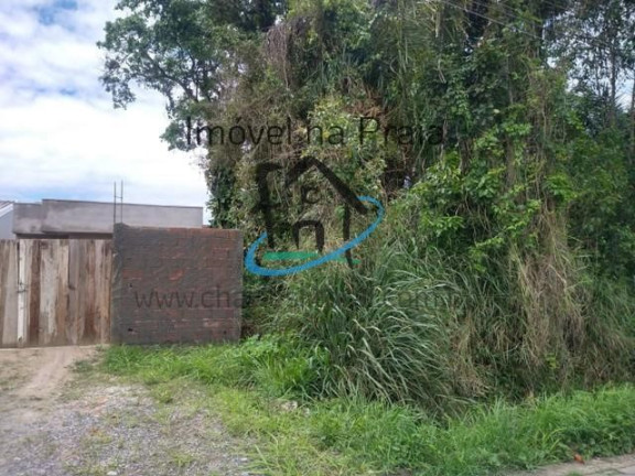 Imagem Terreno à Venda, 490 m² em Jardim Das Gaivotas - Caraguatatuba
