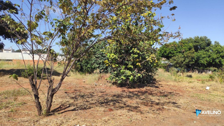 Imagem Terreno à Venda, 360 m² em Jardim Mansur - Campo Grande