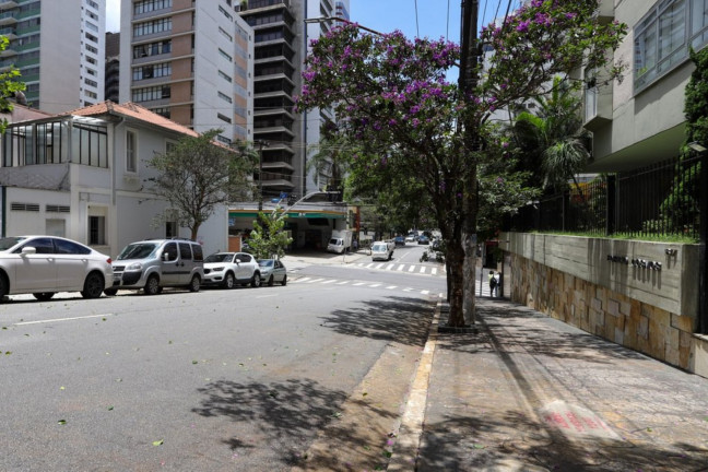 Imagem Imóvel com 3 Quartos à Venda, 232 m² em Jardim América - São Paulo