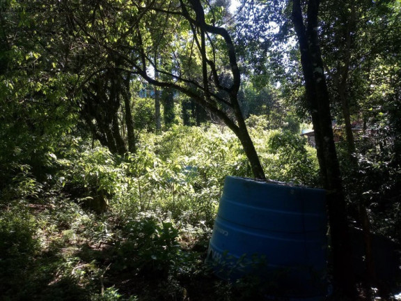 Imagem Terreno à Venda, 3.500 m² em Piá - Nova Petrópolis Imagem Terreno à Venda, 3.500 m² em Piá - Nova Petrópolis