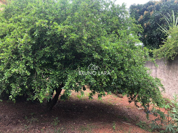 Imagem Fazenda à Venda, 500 m² em Fernão Dias - Igarapé Imagem Fazenda à Venda, 500 m² em Fernão Dias - Igarapé