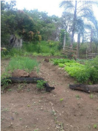 Imagem Chácara com 3 Quartos à Venda, 300 m² em Tanque - Atibaia Imagem Chácara com 3 Quartos à Venda, 300 m² em Tanque - Atibaia