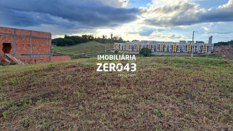 Imagem Terreno à Venda, 250 m² em Conjunto Habitacional Jamile Dequech - Londrina Imagem Terreno à Venda, 250 m² em Conjunto Habitacional Jamile Dequech - Londrina