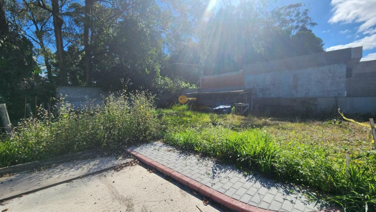 Imagem Terreno à Venda, 184 m² em Tijuca - Teresópolis Imagem Terreno à Venda, 184 m² em Tijuca - Teresópolis