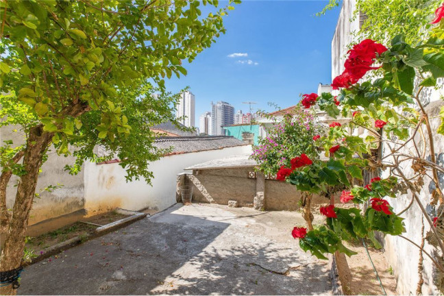Imagem Casa com 3 Quartos à Venda, 280 m² em Vila Ipojuca - São Paulo Imagem Casa com 3 Quartos à Venda, 280 m² em Vila Ipojuca - São Paulo