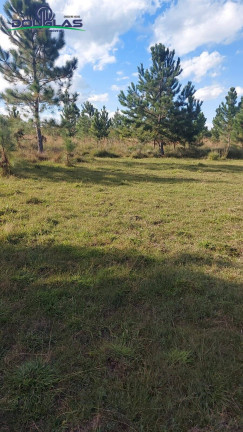Imagem Imóvel Comercial à Venda, 4 m² em Viamão Imagem Imóvel Comercial à Venda, 4 m² em Viamão