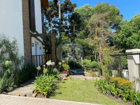Imagem Casa com 3 Quartos à Venda, 143 m² em Vila Suzana - Canela Imagem Casa com 3 Quartos à Venda, 143 m² em Vila Suzana - Canela