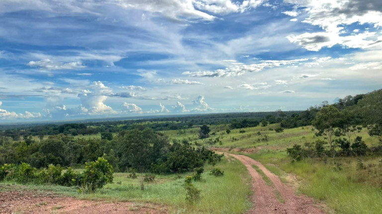 Imagem Fazenda à Venda, 500 m² em Zona Rural - Aliança Do Tocantins