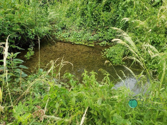 Imagem Imóvel com 3 Quartos à Venda, 350.000 m² em Zona Rural - Bom Retiro