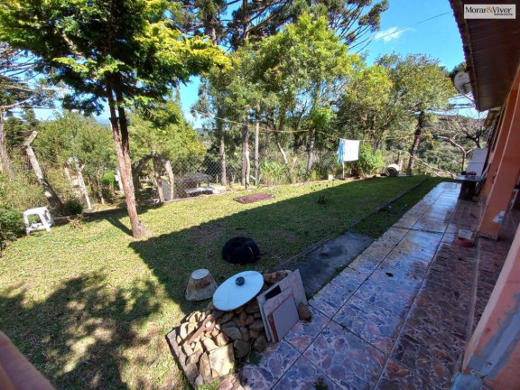 Imagem Imóvel à Venda, 8.000 m² em Zona Rural - Quatro Barras Imagem Imóvel à Venda, 8.000 m² em Zona Rural - Quatro Barras