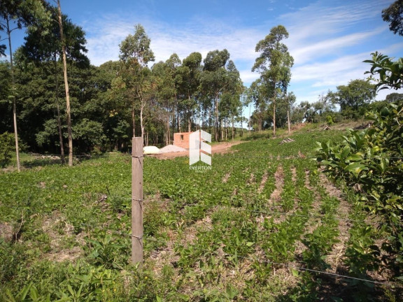 Imagem Imóvel à Venda, 150.000.000 m² em Etelvina - Itaara Imagem Imóvel à Venda, 150.000.000 m² em Etelvina - Itaara