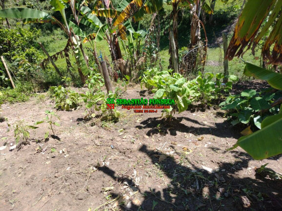 Imagem Chácara com 3 Quartos à Venda, 3 m² em Redenção Da Serra Imagem Chácara com 3 Quartos à Venda, 3 m² em Redenção Da Serra