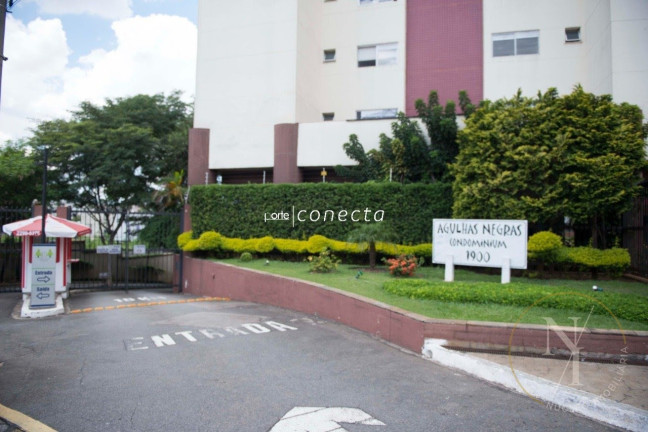 Imagem Apartamento com 3 Quartos à Venda, 70 m² em Mooca - São Paulo Imagem Apartamento com 3 Quartos à Venda, 70 m² em Mooca - São Paulo
