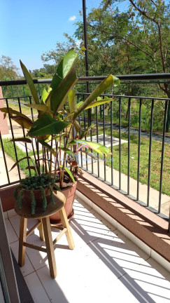 Imagem Apartamento com 2 Quartos à Venda, 50 m² em Jardim Tamoio - Jundiaí