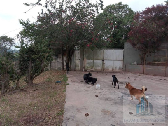 Imagem Chácara com 2 Quartos à Venda, 3.000 m² em Chácaras Vista Alegre - Arujá Imagem Chácara com 2 Quartos à Venda, 3.000 m² em Chácaras Vista Alegre - Arujá