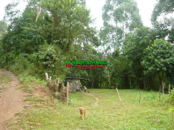 Imagem Chácara à Venda, 30.000 m² em Ponte Nova - Monteiro Lobato Imagem Chácara à Venda, 30.000 m² em Ponte Nova - Monteiro Lobato