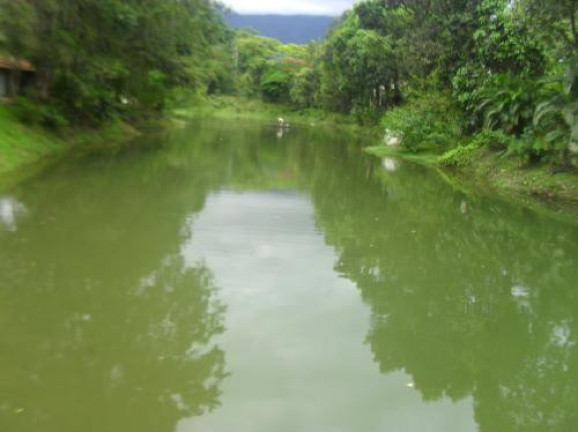 Imagem Terreno à Venda, 1.170 m² em Residencial Park Hills - Ubatuba Imagem Terreno à Venda, 1.170 m² em Residencial Park Hills - Ubatuba