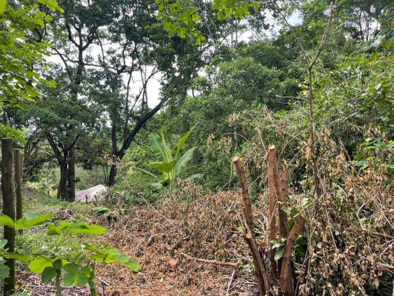 Imagem Terreno à Venda, 2.000 m² em Guaratiba - Rio De Janeiro Imagem Terreno à Venda, 2.000 m² em Guaratiba - Rio De Janeiro