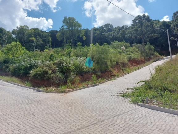 Imagem Terreno à Venda, 242 m² em Barracão - Bento Gonçalves