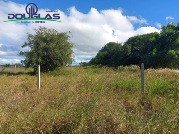 Imagem Terreno à Venda, 1.000 m² em Viamão Imagem Terreno à Venda, 1.000 m² em Viamão