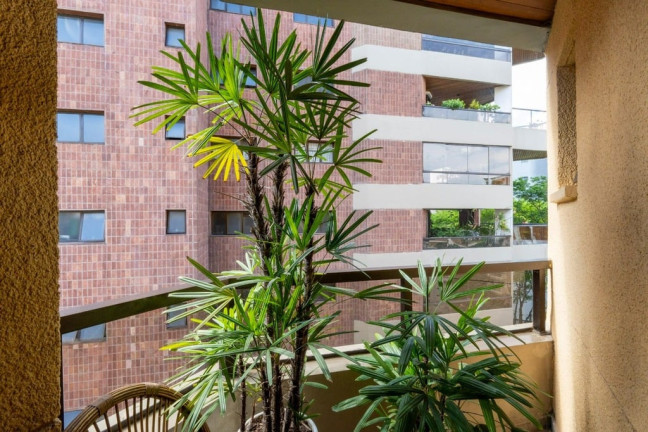 Imagem Imóvel com 3 Quartos à Venda, 243 m² em Jardim Vitória Régia - São Paulo Imagem Imóvel com 3 Quartos à Venda, 243 m² em Jardim Vitória Régia - São Paulo