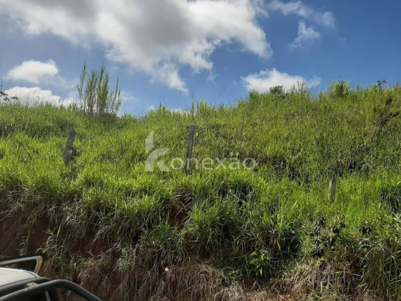 Imagem Chácara com 3 Quartos à Venda, 300 m² em Centro - Taubaté Imagem Chácara com 3 Quartos à Venda, 300 m² em Centro - Taubaté