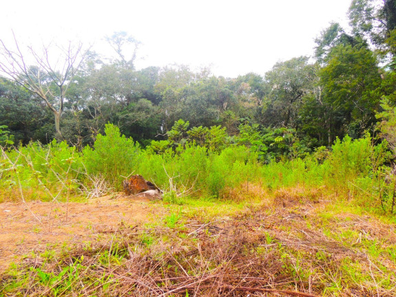 Imagem Terreno à Venda, 46.578 m² em Macacu - Garopaba Imagem Terreno à Venda, 46.578 m² em Macacu - Garopaba