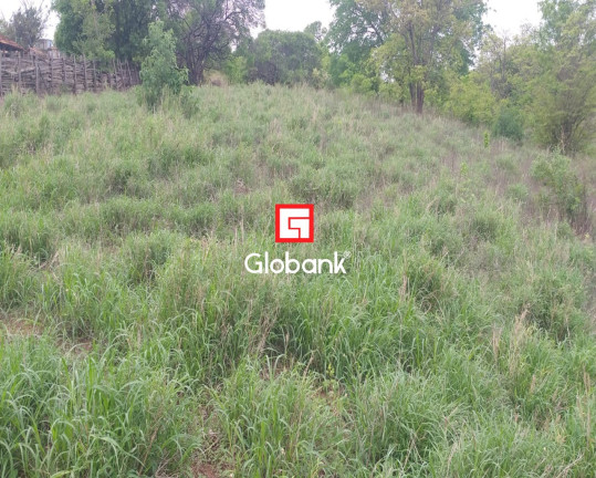Imagem Imóvel à Venda, em Fazenda Gameleira - Montes Claros Imagem Imóvel à Venda, em Fazenda Gameleira - Montes Claros