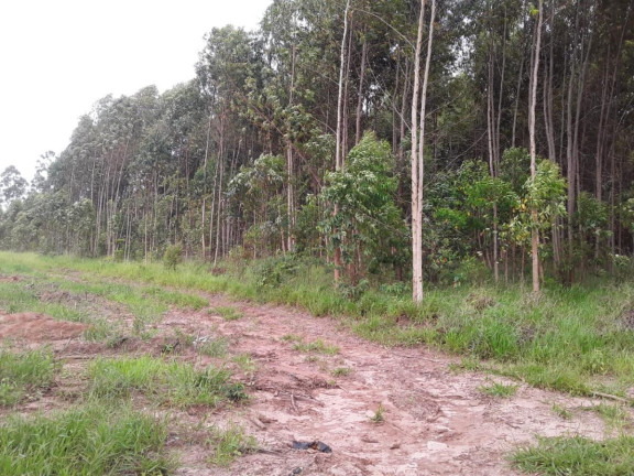 Imagem Chácara à Venda, 15 m² em Area Rural De Avaré - Avaré Imagem Chácara à Venda, 15 m² em Area Rural De Avaré - Avaré