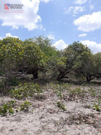Imagem Fazenda à Venda, 50.000 m² em Centro - João Câmara Imagem Fazenda à Venda, 50.000 m² em Centro - João Câmara