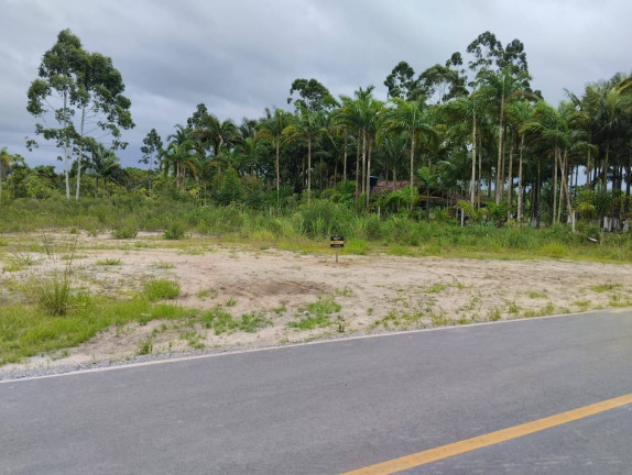 Imagem Chácara à Venda, 5.900 m² em Pinheiros - Balneário Barra Do Sul Imagem Chácara à Venda, 5.900 m² em Pinheiros - Balneário Barra Do Sul