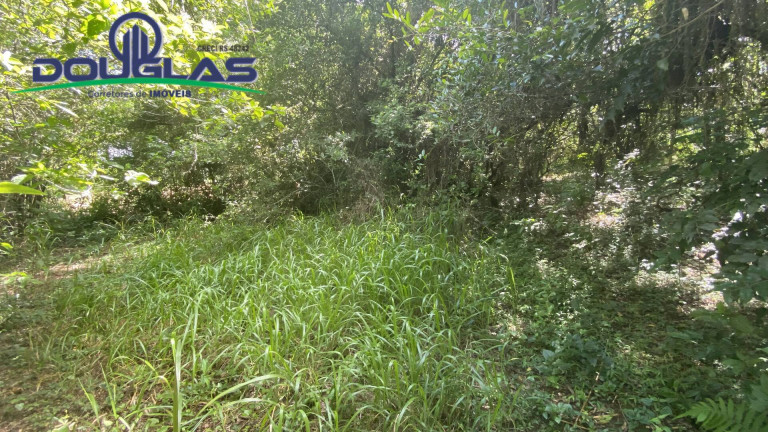 Imagem Terreno à Venda, 5.000 m² em Viamão Imagem Terreno à Venda, 5.000 m² em Viamão